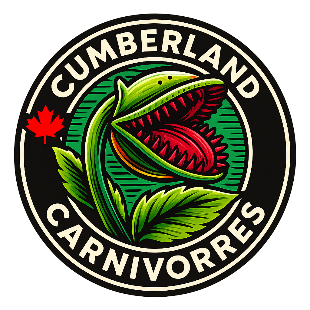 Cumberland Carnivores logo